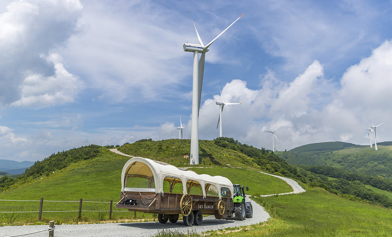 대관령눈꽃축제 기본정보 입장료 프로그램 주차장