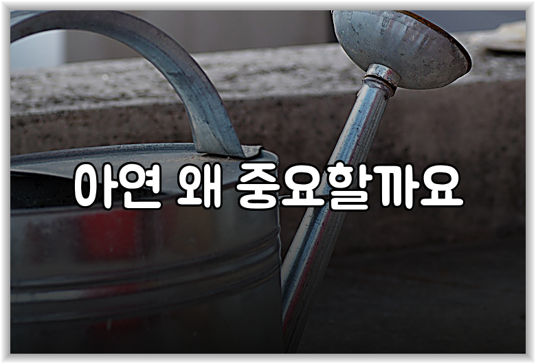 아연 왜 중요할까요