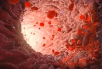 Blood vessels