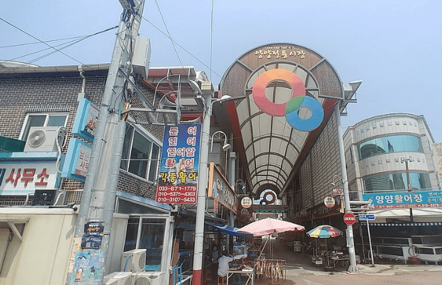양양 가볼만한곳