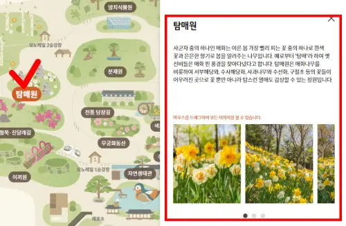 화담숲 테마원 별 상세내용