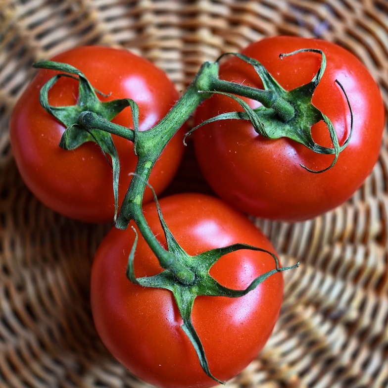빨간 토마토 3개가 바구니에 놓여있는 사진