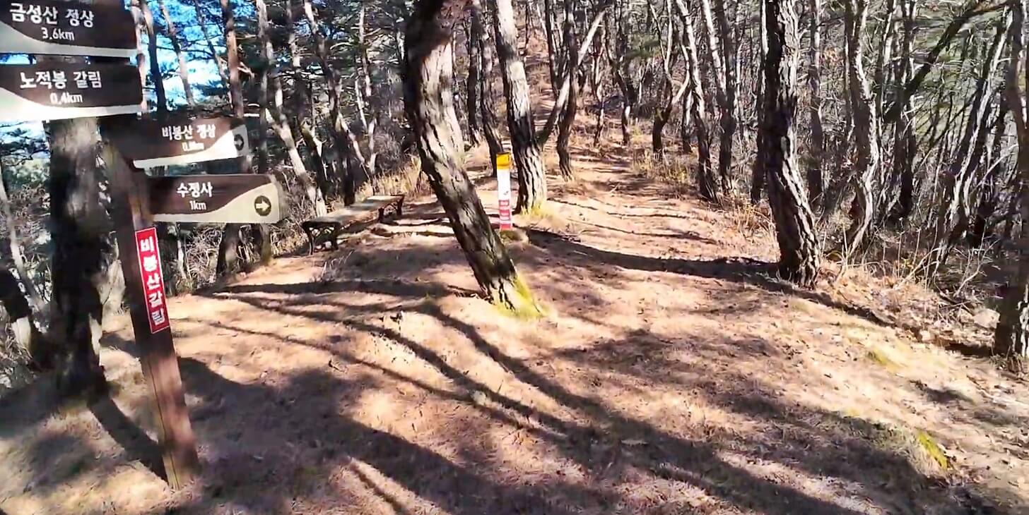 금성산
