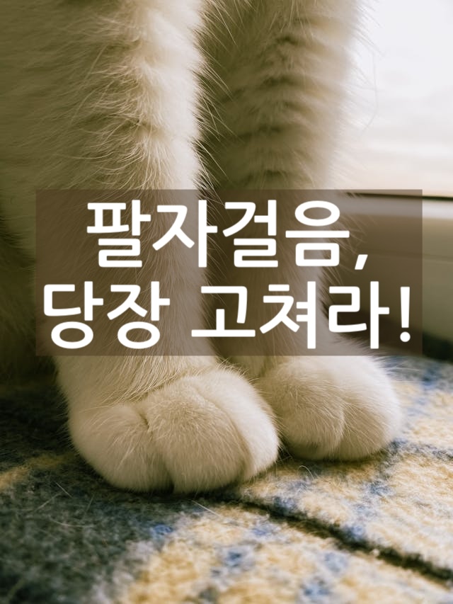 팔자걸음, 당장 고쳐라!