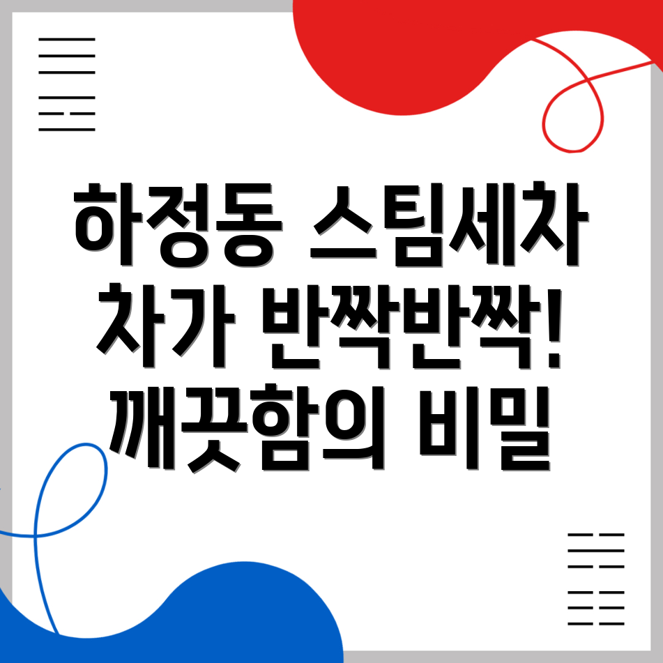 스팀세차