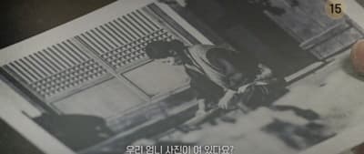 공선 사진