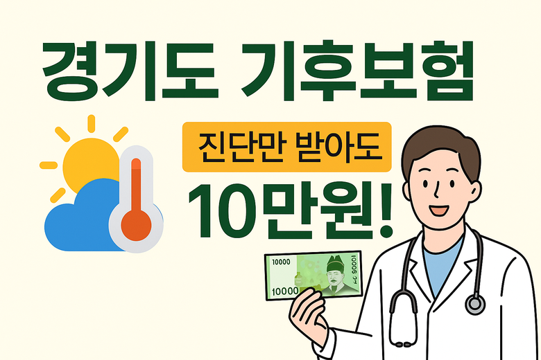 경기 기후보험