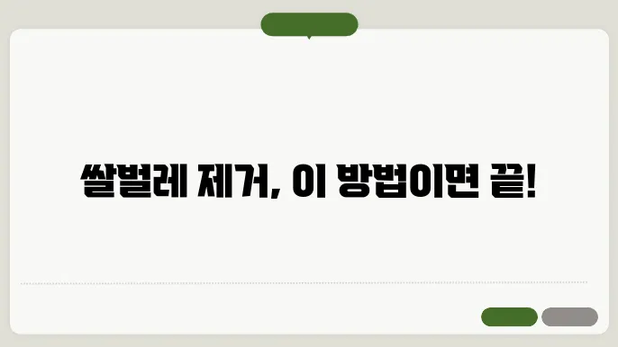 쌀벌레 없애는 법 효과적인 방법