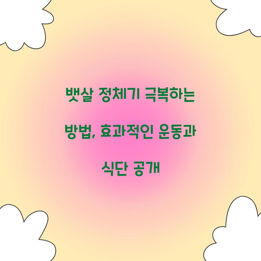 뱃살 정체기 극복하는 방법