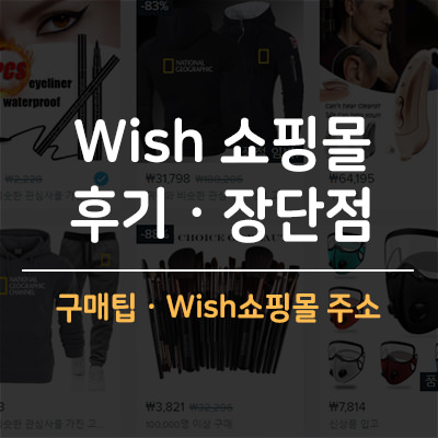 Wish 쇼핑몰 후기