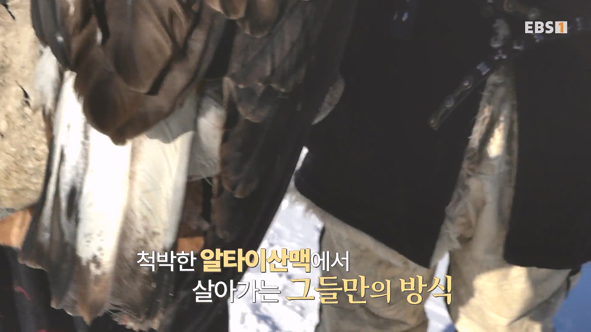 세계테마기행 240215 와일드 몽골 -알타이, 야생의 전설을 찾아서0p.mp4_20240802_201809.273.jpg