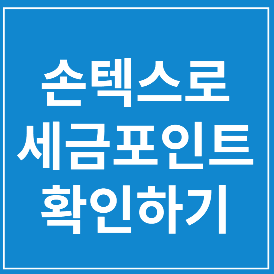  손텍스로 세금포인트 확인하는 법