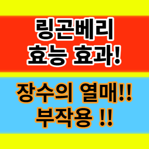  장수의 열매 링곤베리 효능과 효과 먹는법과 부작용