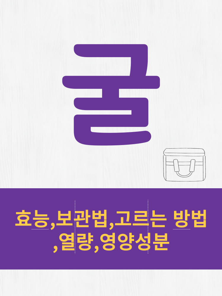  굴 효능 및 열량과 보관법 칼로리 총정리 