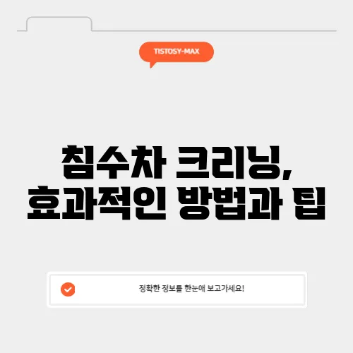침수차 크리닝, 효과적인 방법과 팁
