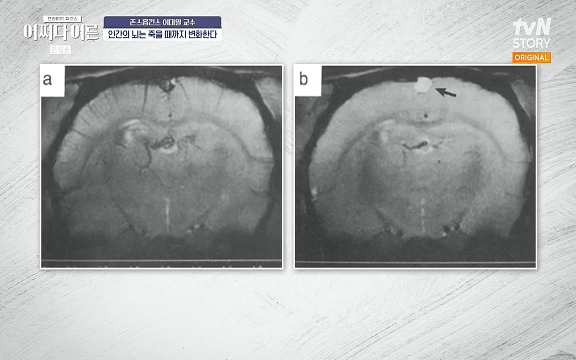 어쩌다 어른.E06.220715p-NEXT.mp4_20220912_142329.388.jpg