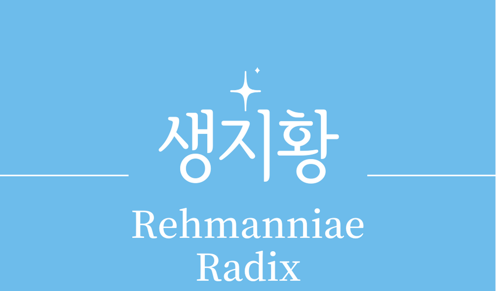 &#39;생지황(Rehmanniae Radix)&#39;