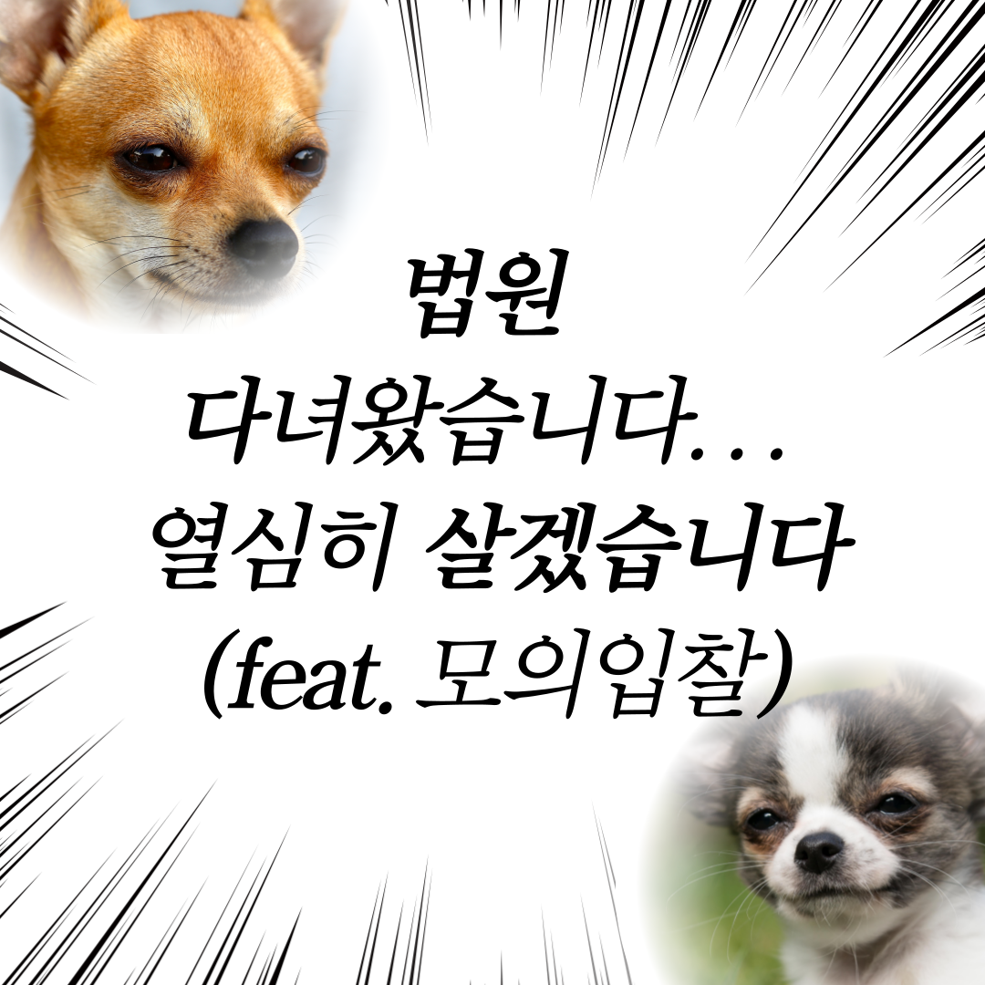  의정부법원 모의입찰 다녀왔습니다