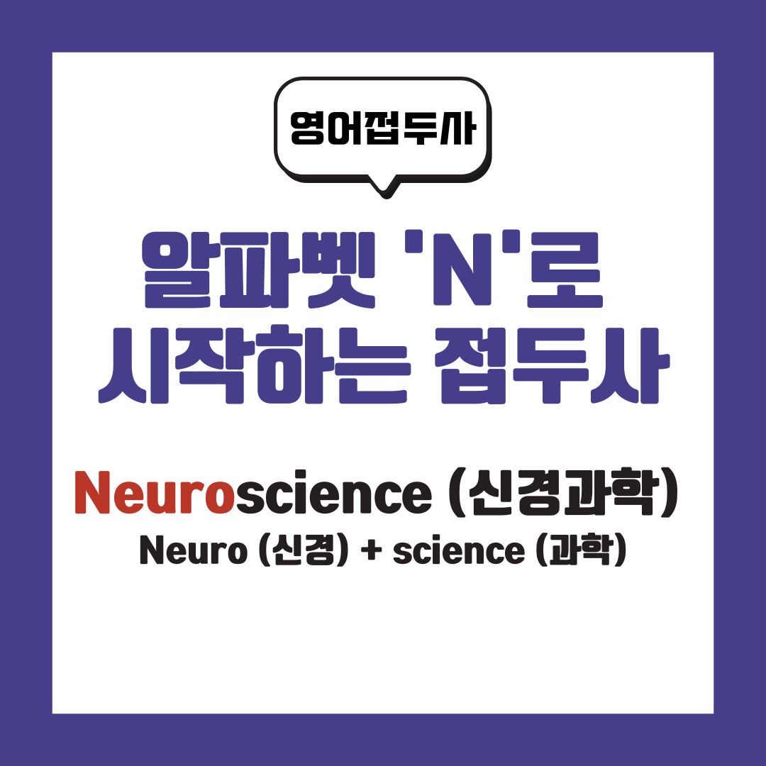 영어접두사N