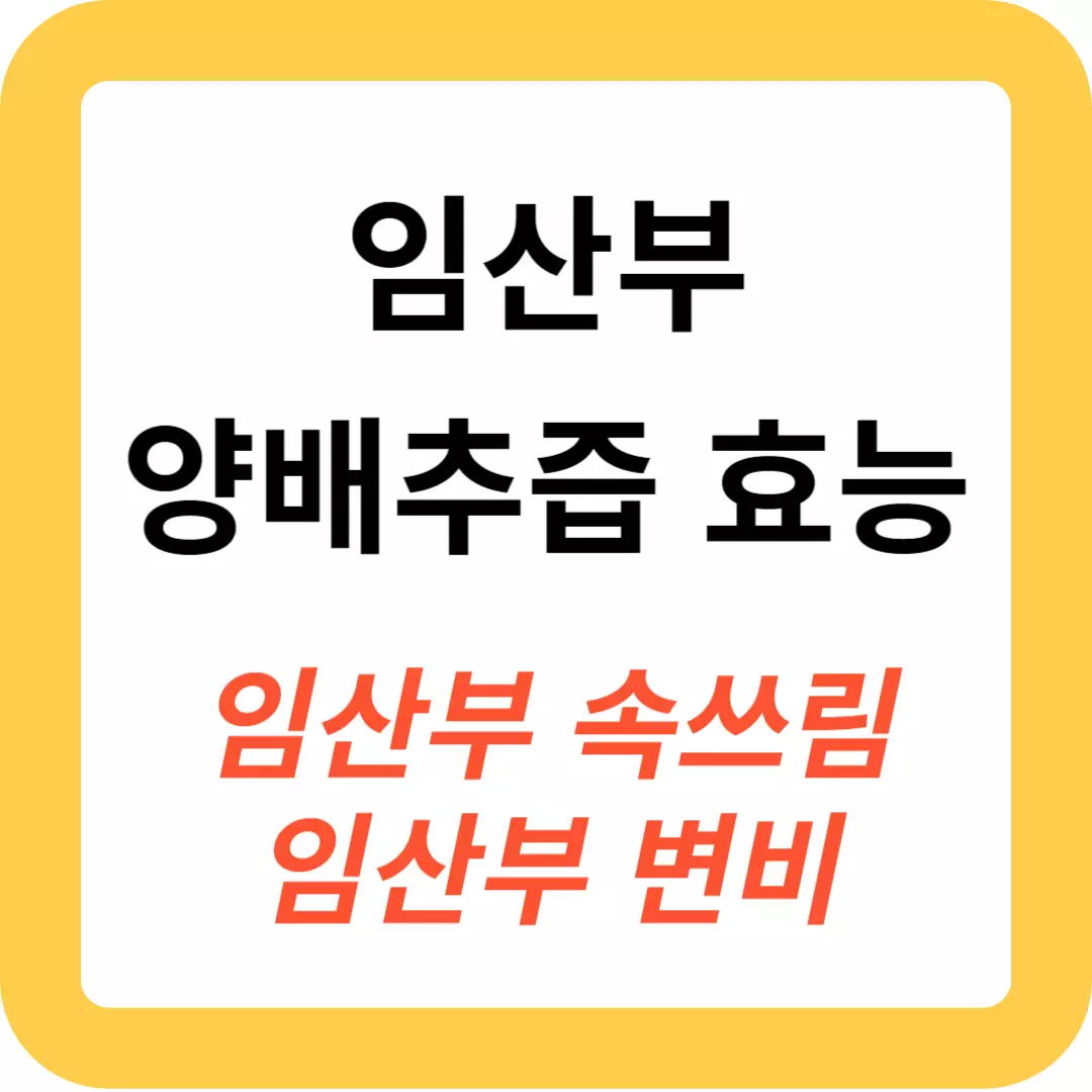 임산부-양배추즙-효능