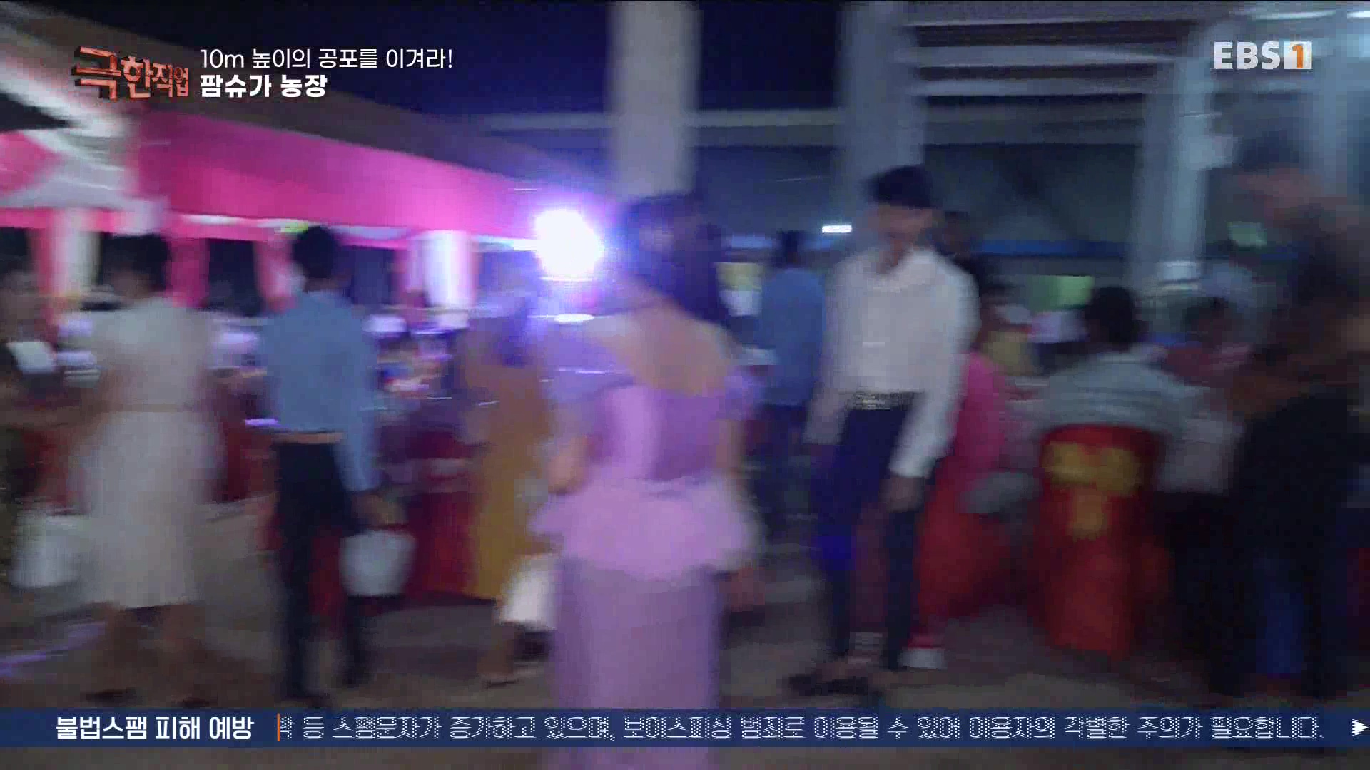 [극한 직업] 캄보디아 팜슈가 농장 230624.mp4_20230701_185229.375.jpg