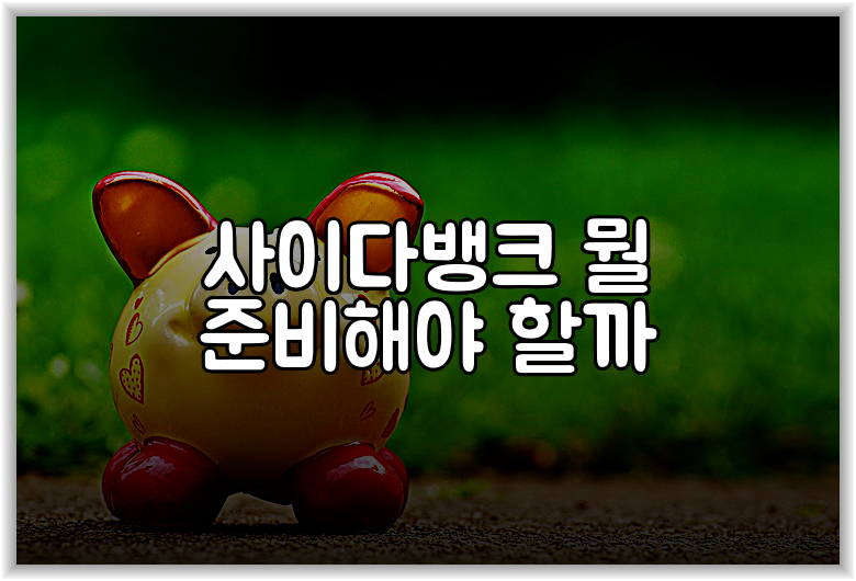 사이다뱅크 뭘 준비해야 할까