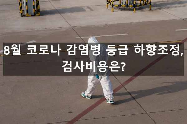  8월 코로나 검사비용은? 감염병 등급 하향조정!