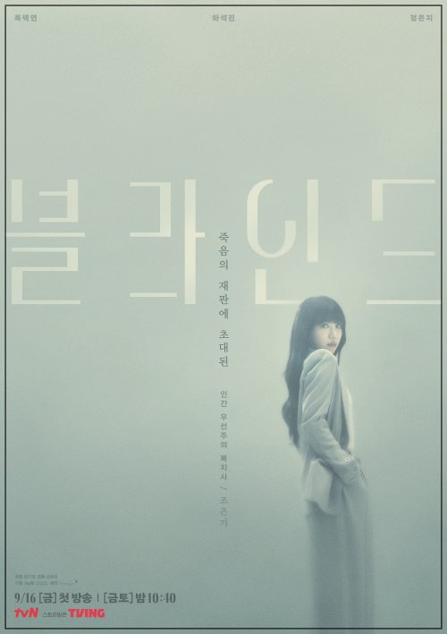 드라마-블라인드-정은지-포스터