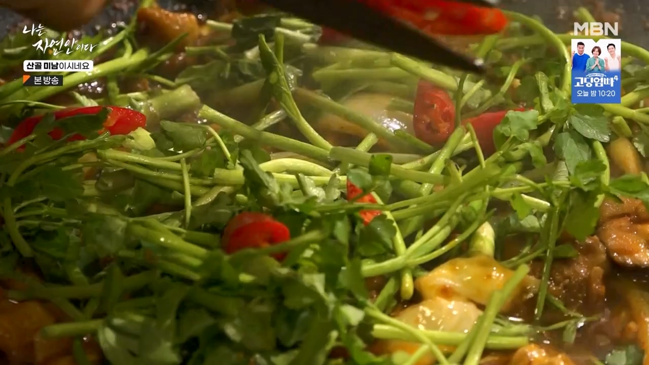 나는 자연인이다.E592.240208p-NEXT.mp4_20240208_193240.255.jpg