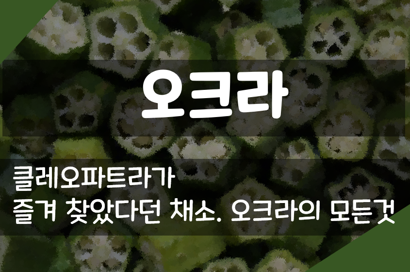  오크라 효능 부작용, 오크라 먹는법