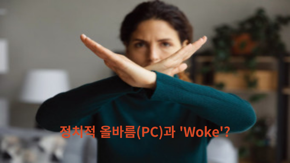  정치적 올바름(PC)과 'Woke' 알아보기.. 미스 프랑스 논란