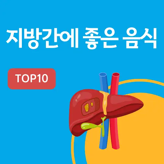 지방간에 좋은 음식 TOP10