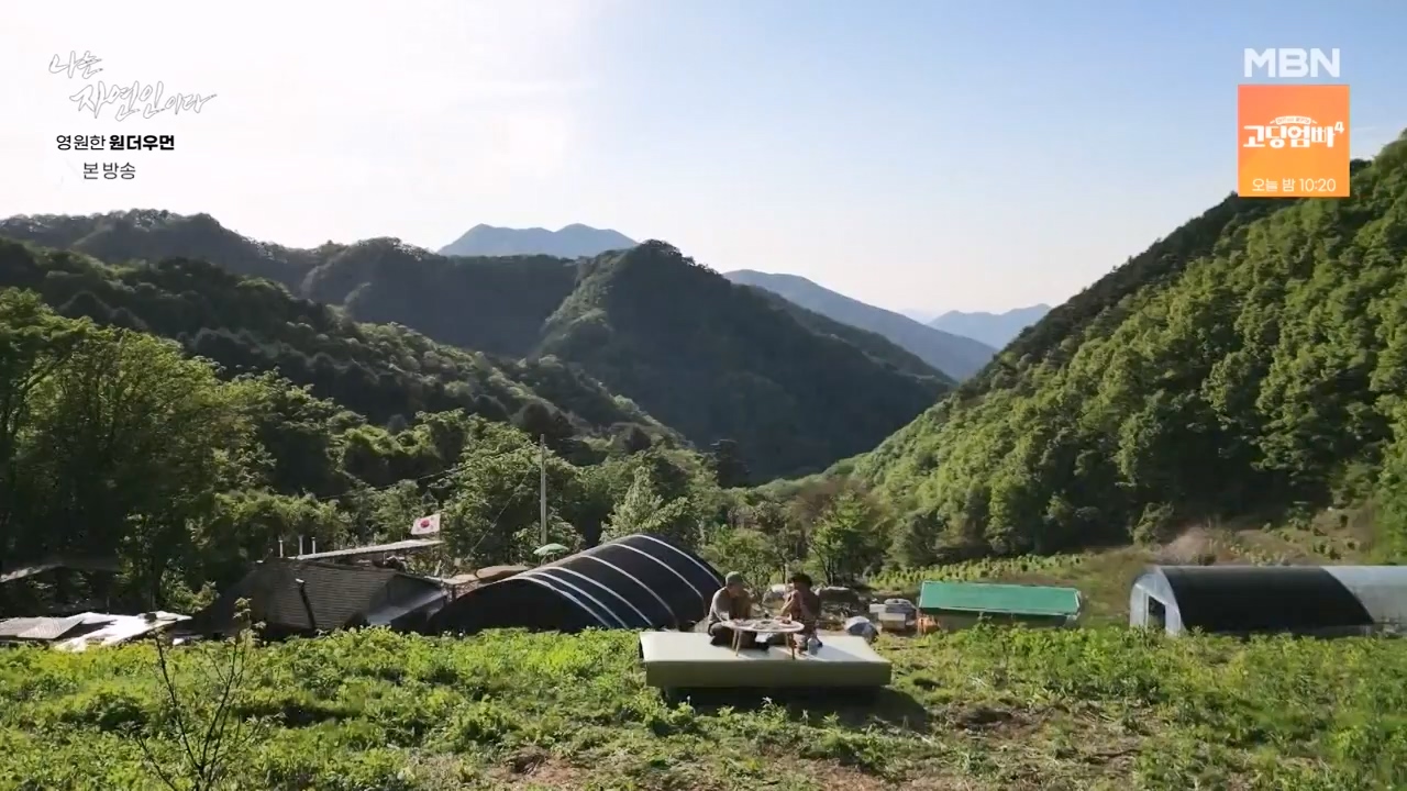 나는 자연인이다.E606.240523p-NEXT.mp4_20240523_195551.326.jpg