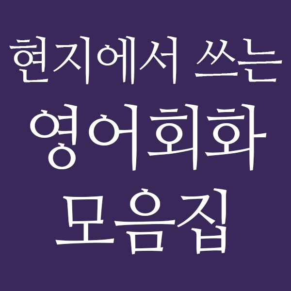  미국 현지에서 쓰는 영어회화 모음집 정리