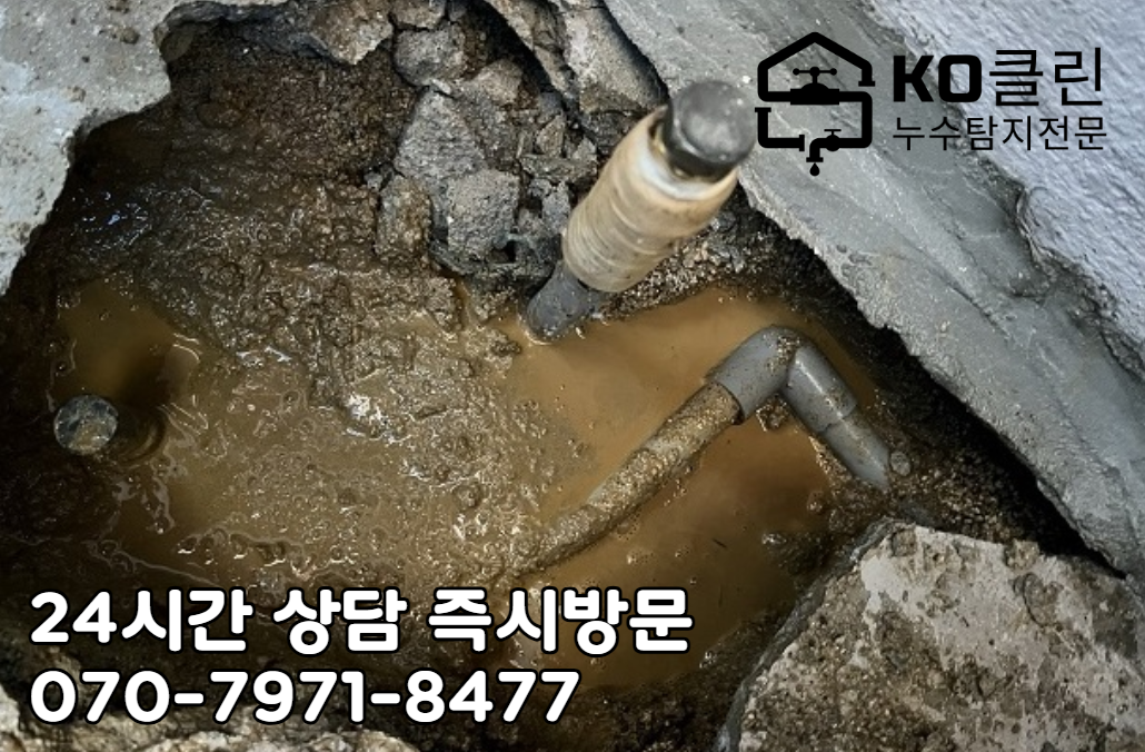 일산 백석동 누수 탐지4
