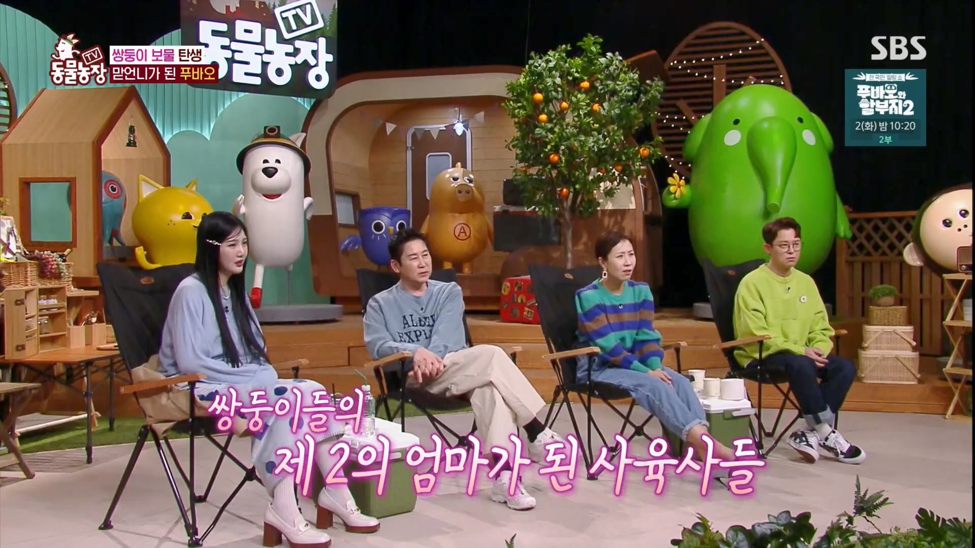TV 동물농장.E1165.240331p.H264-F1RST.mp4_20240331_144356.944.jpg