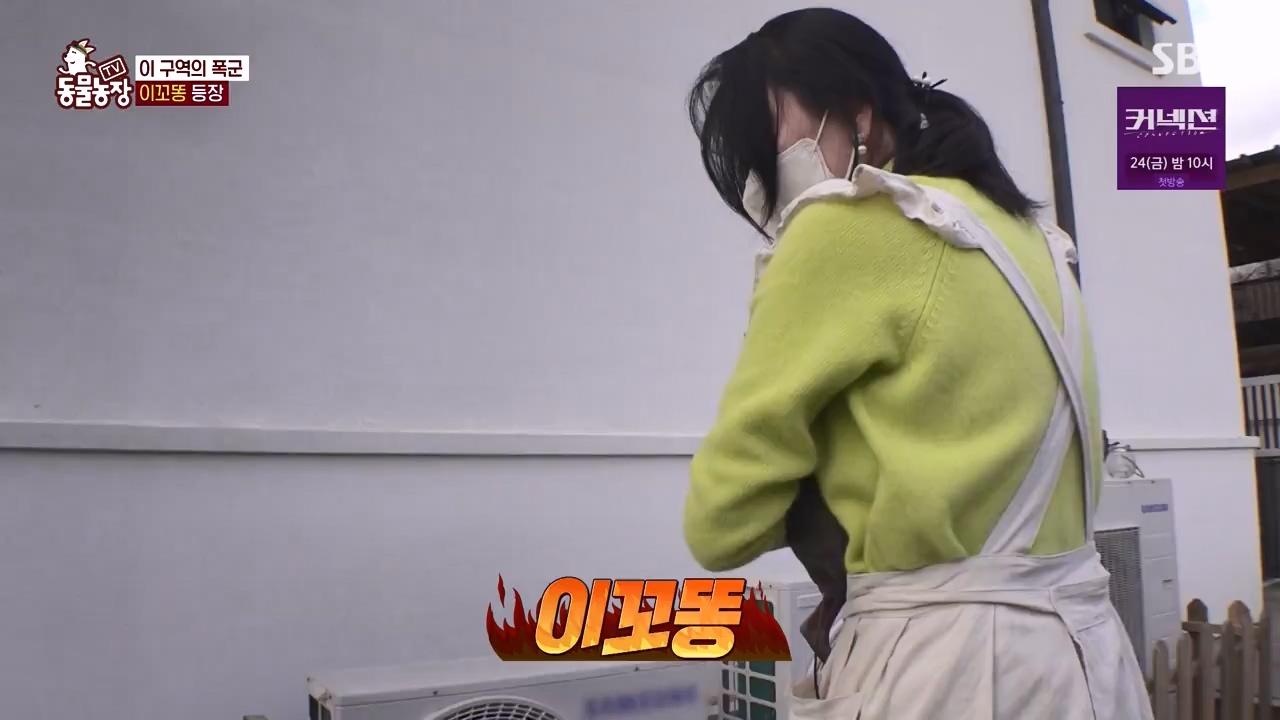 TV 동물농장.E1172.240520p-NEXT.mp4_20240519_165234.543.jpg