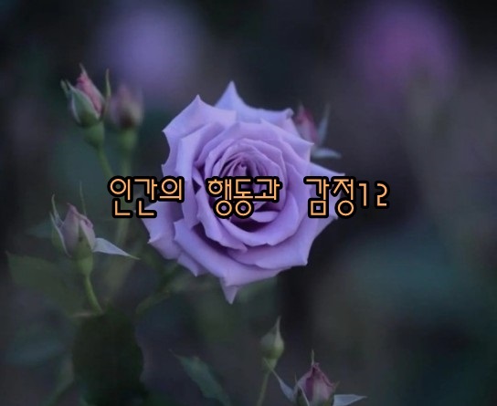  인간의 행동과 감정 - 해몽12;많고적음,높고낮은,깊고얕은,넓고좁은,가늘고굵은,길고짧은,크고작은,무겁고가벼움,아른찬것 등.