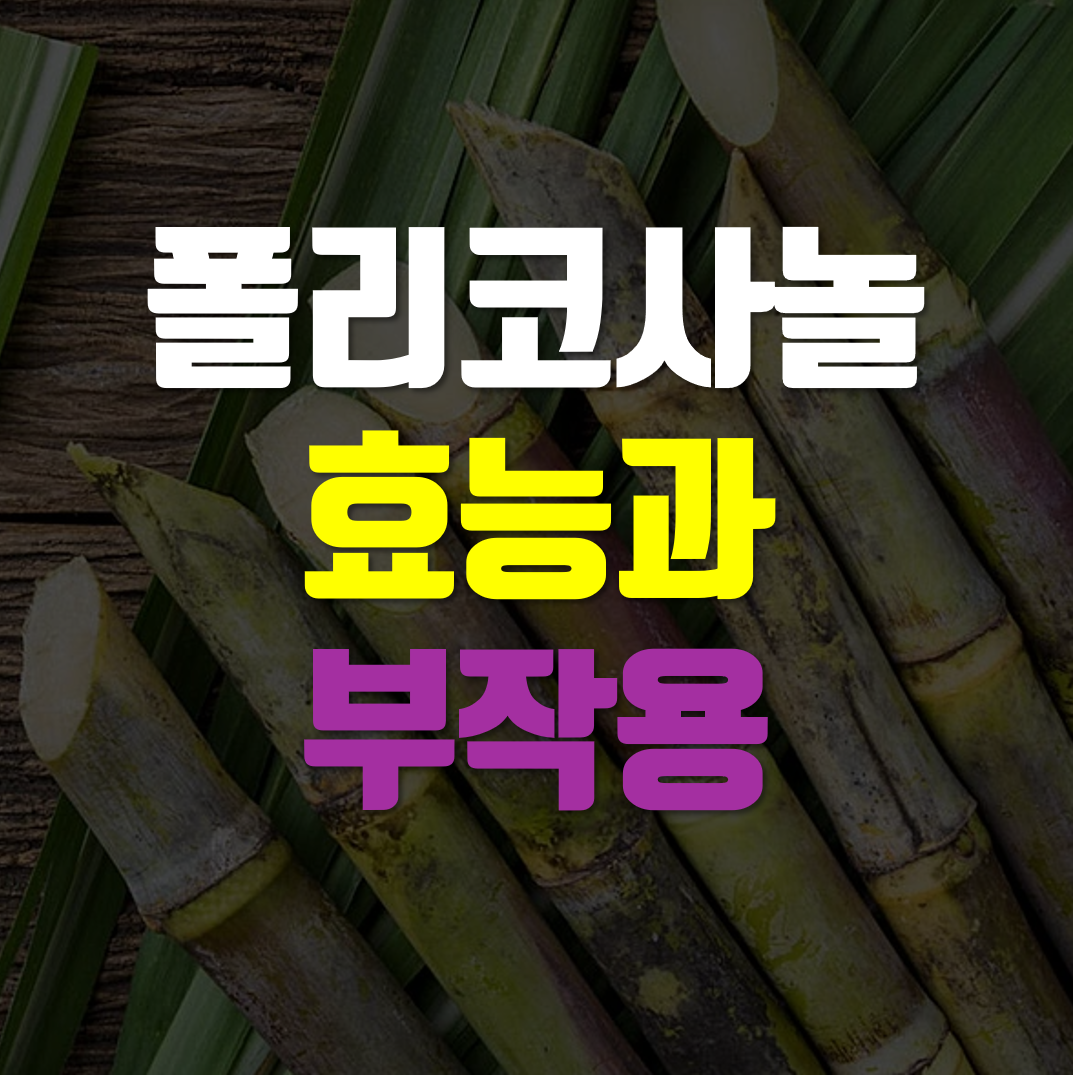  폴리코사놀의 효능과 부작용 정리