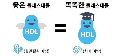 좋은-콜레스테롤-hdl-콜레스테롤