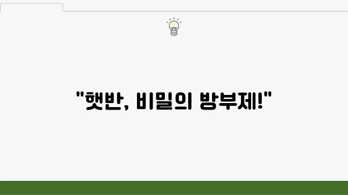 햇반 유통기한: 방부제 없이 상하지 않는 이유