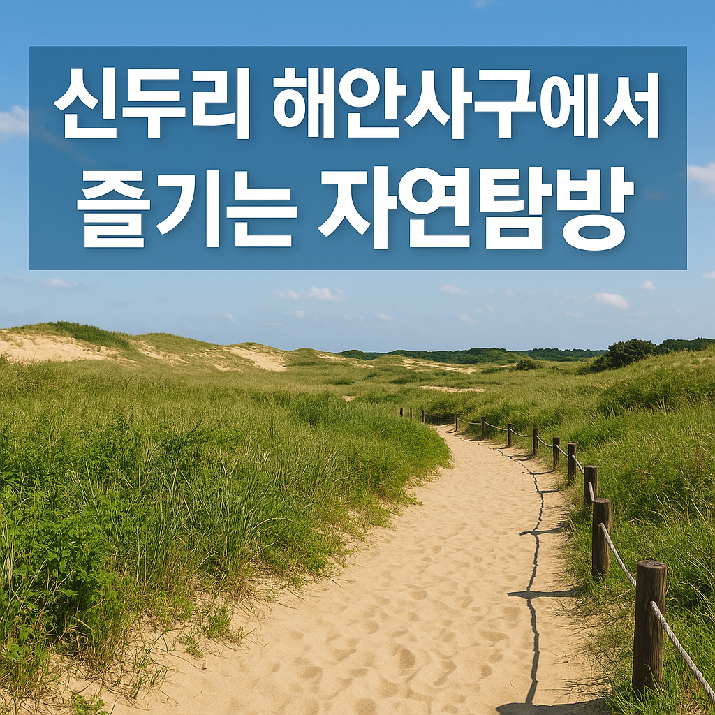 국내 유일! 바다와 사막이 만나는 태안 신두리 여행기