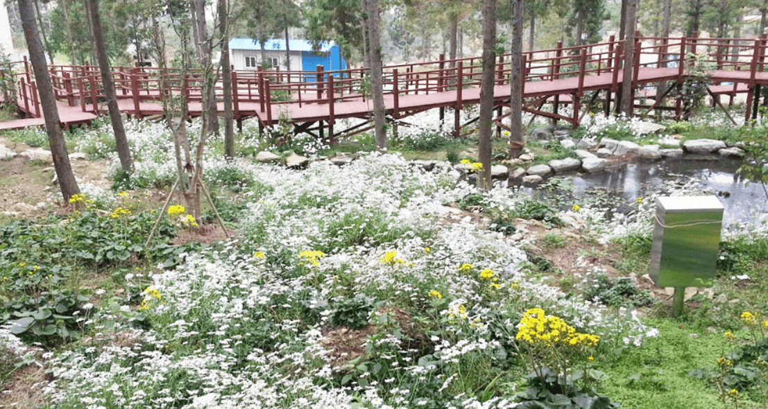 음이온폭포
