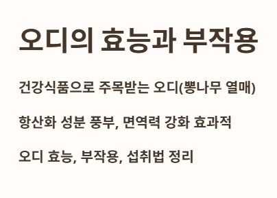 서론: 오디의 효능과 부작용