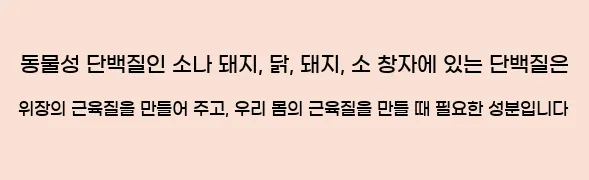  동물성 단백질인 소나 돼지, 닭, 돼지, 소 창자에 있는 단백질은 위장의 근육질을 만들어 주고, 우리 몸의 근육질을 만들 때 필요한 성분입니다