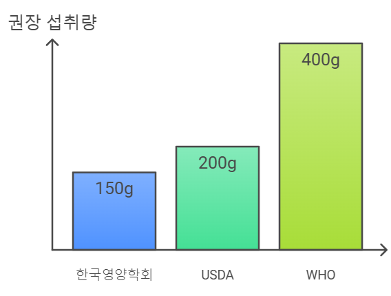 성인 여성의 하루 권장 당근 섭취량