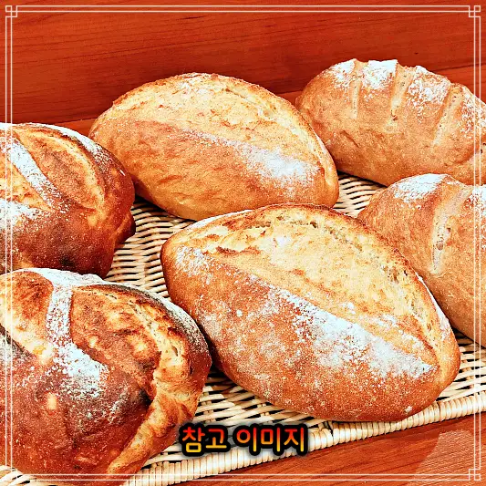  생방송 오늘저녁 통밀빵, 소금빵, 크로와상, 호밀빵 천연 효모 발효 빵 추천 강원 홍천 추천 맛집 농부의 빵집 정직한 재료에 정성까지 빵지순례 성지 11월27일 방송 정보