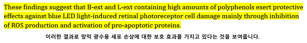 링곤 베리 퓨레 효능