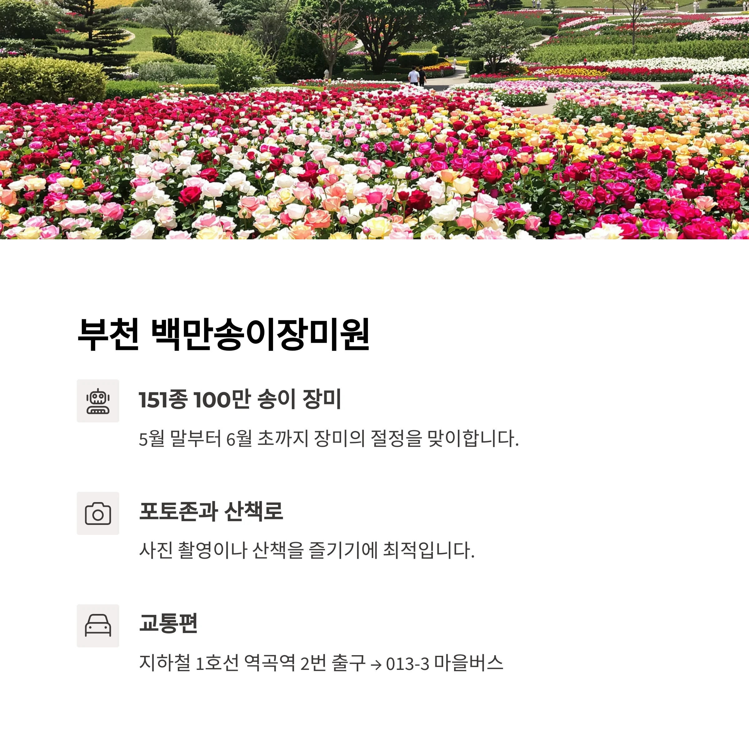 부천 백만송이장미원