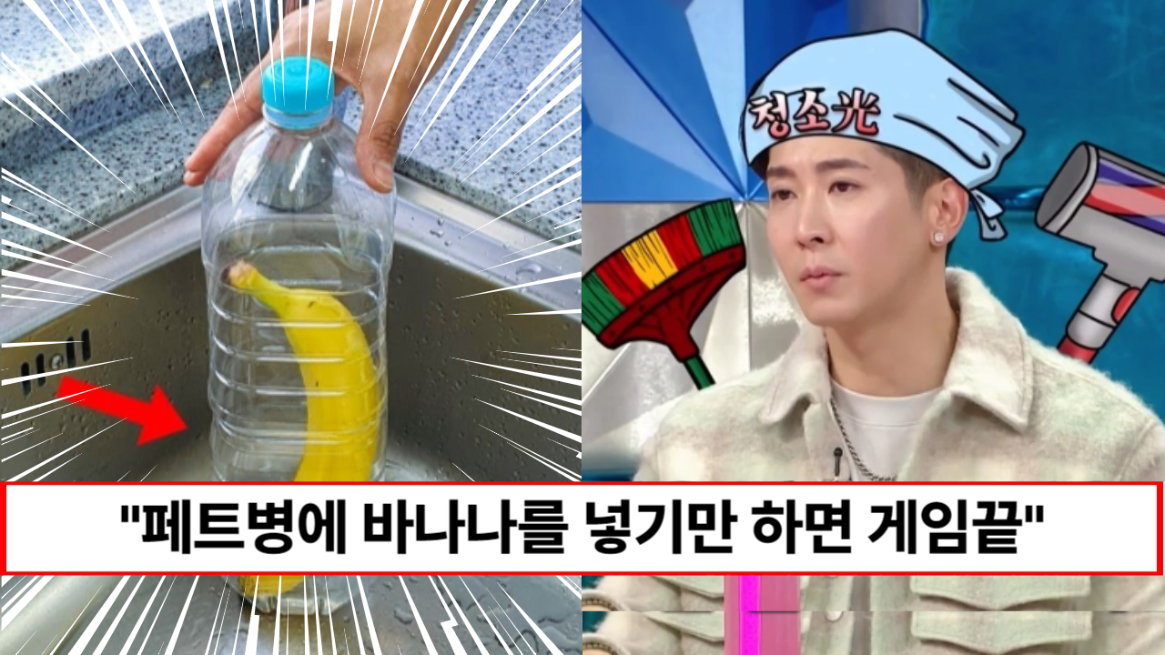 “몸에 안좋은 약을 뿌리지 않아도 됩니다” 여름철 불청객을 한번에 몰살시킬 수 있는 꿀팁